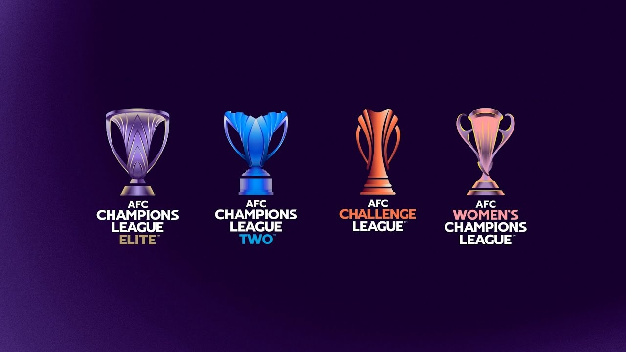 足协确认下赛季参加亚冠队伍：海港亚冠精英、国安亚冠精英附加赛